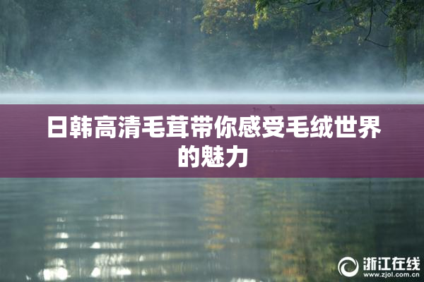 日韩高清毛茸带你感受毛绒世界的魅力