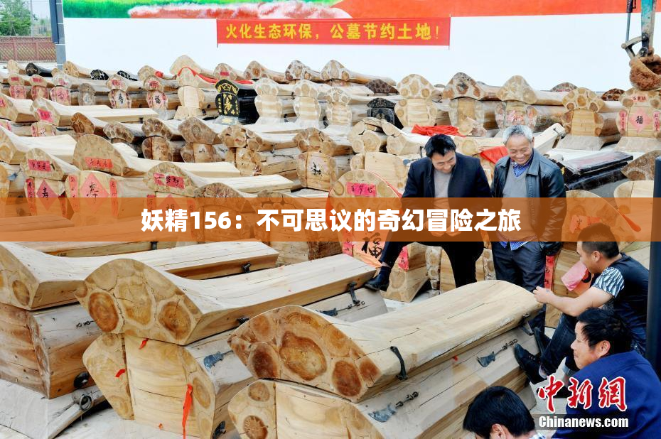 妖精156：不可思议的奇幻冒险之旅
