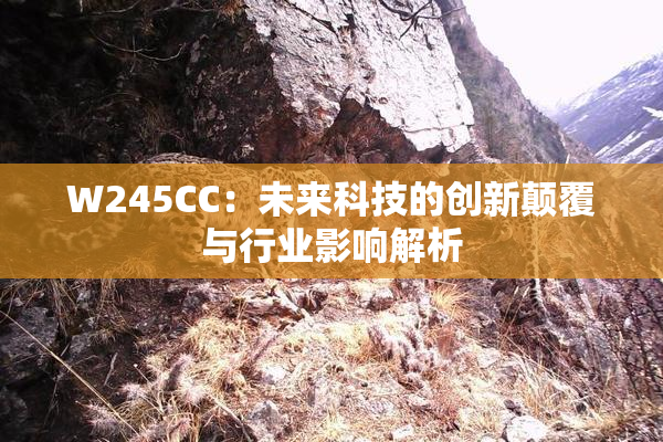 W245CC：未来科技的创新颠覆与行业影响解析