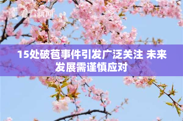 15处破苞事件引发广泛关注 未来发展需谨慎应对