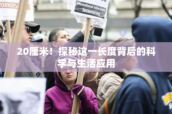 20厘米！探秘这一长度背后的科学与生活应用