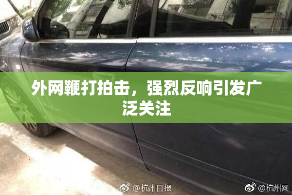 外网鞭打拍击，强烈反响引发广泛关注
