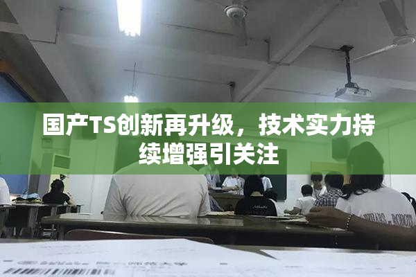 国产TS创新再升级，技术实力持续增强引关注
