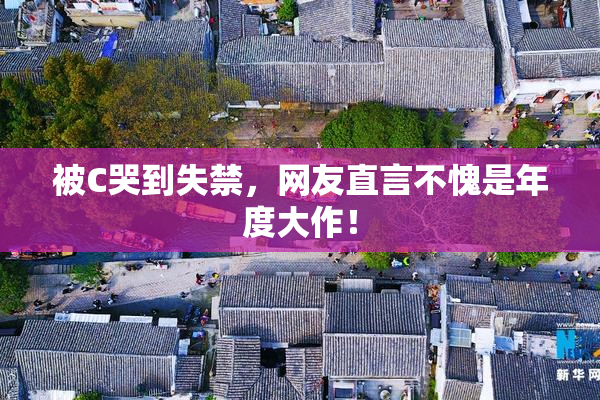 被C哭到失禁，网友直言不愧是年度大作！