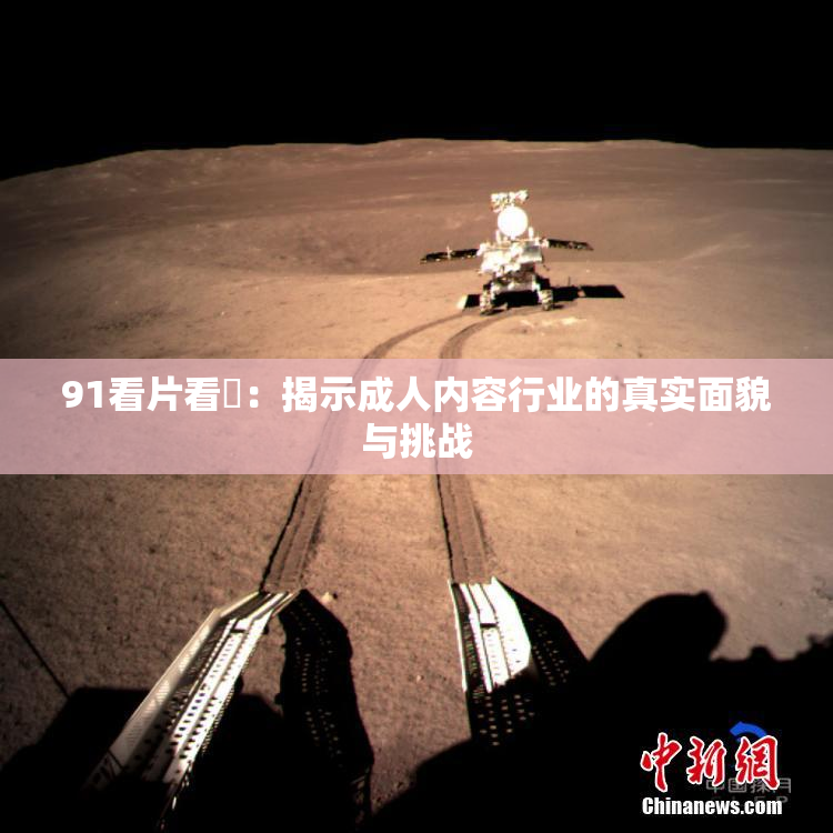 91看片看婬：揭示成人内容行业的真实面貌与挑战