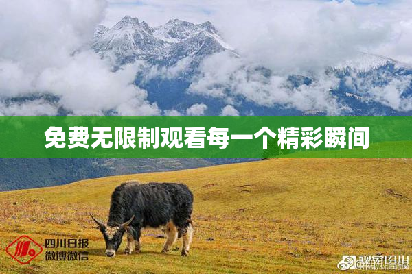免费无限制观看每一个精彩瞬间