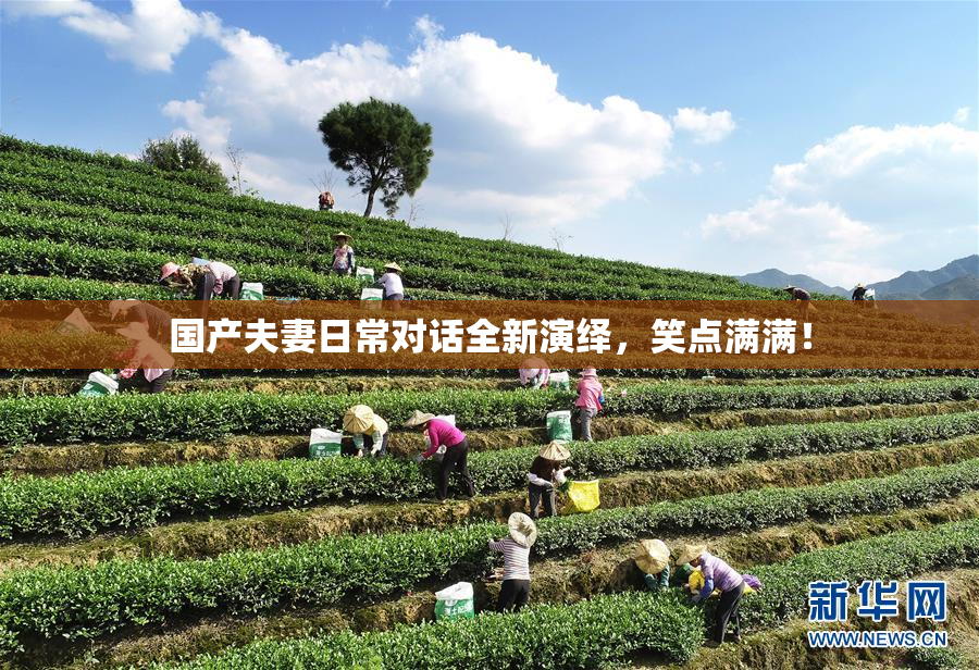 国产夫妻日常对话全新演绎，笑点满满！