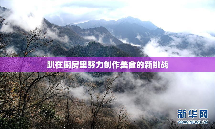 趴在厨房里努力创作美食的新挑战