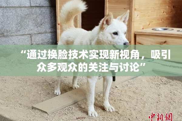“通过换脸技术实现新视角，吸引众多观众的关注与讨论”