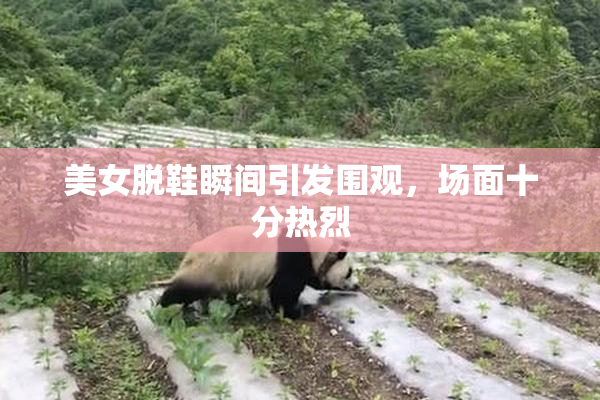 美女脱鞋瞬间引发围观，场面十分热烈
