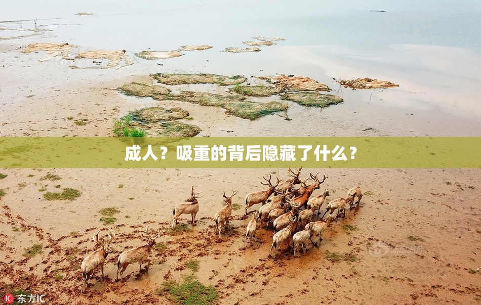 成人？吸重的背后隐藏了什么？