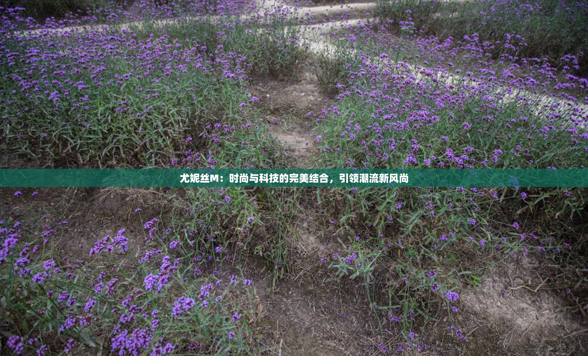尤妮丝M：时尚与科技的完美结合，引领潮流新风尚