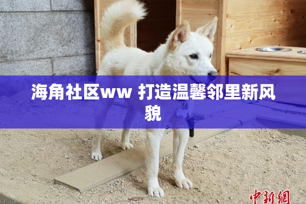 海角社区ww 打造温馨邻里新风貌