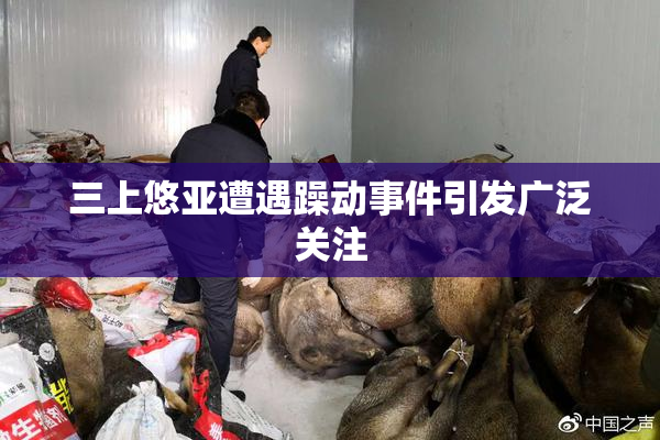 三上悠亚遭遇躁动事件引发广泛关注