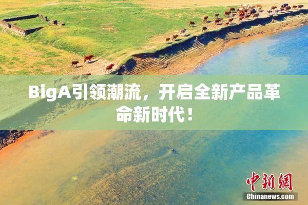 BigA引领潮流，开启全新产品革命新时代！