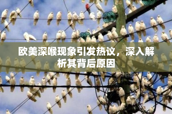 欧美深喉现象引发热议，深入解析其背后原因