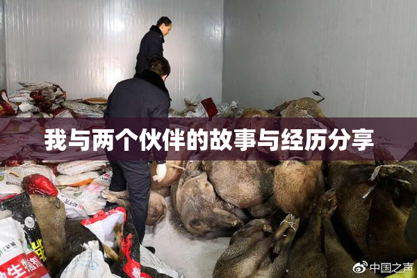 我与两个伙伴的故事与经历分享