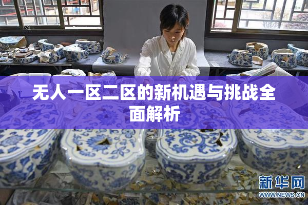 无人一区二区的新机遇与挑战全面解析