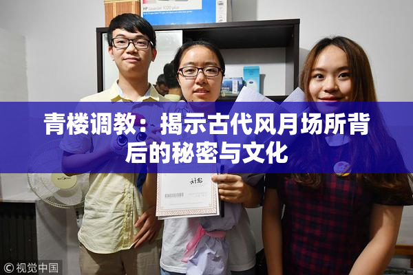 青楼调教：揭示古代风月场所背后的秘密与文化