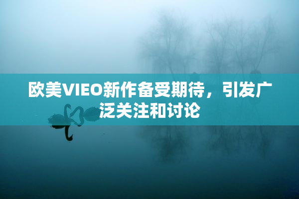 欧美VIEO新作备受期待，引发广泛关注和讨论