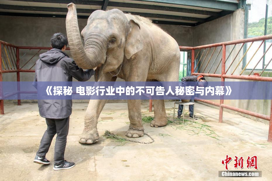 《探秘 电影行业中的不可告人秘密与内幕》