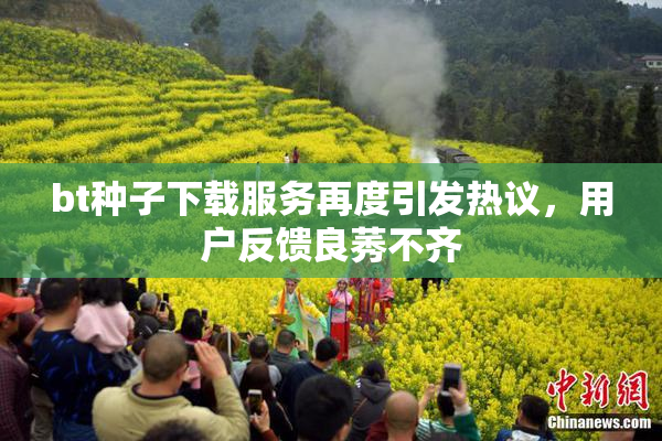 bt种子下载服务再度引发热议，用户反馈良莠不齐