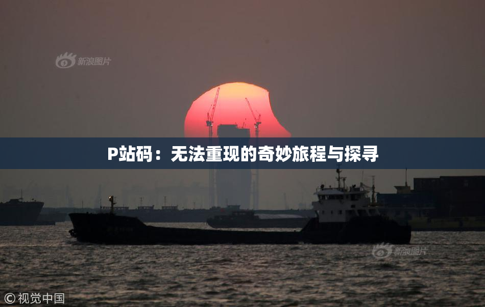 P站码：无法重现的奇妙旅程与探寻