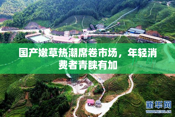 国产嫩草热潮席卷市场，年轻消费者青睐有加