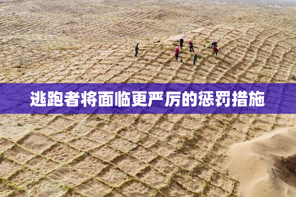 逃跑者将面临更严厉的惩罚措施
