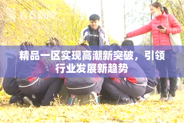 精品一区实现高潮新突破，引领行业发展新趋势