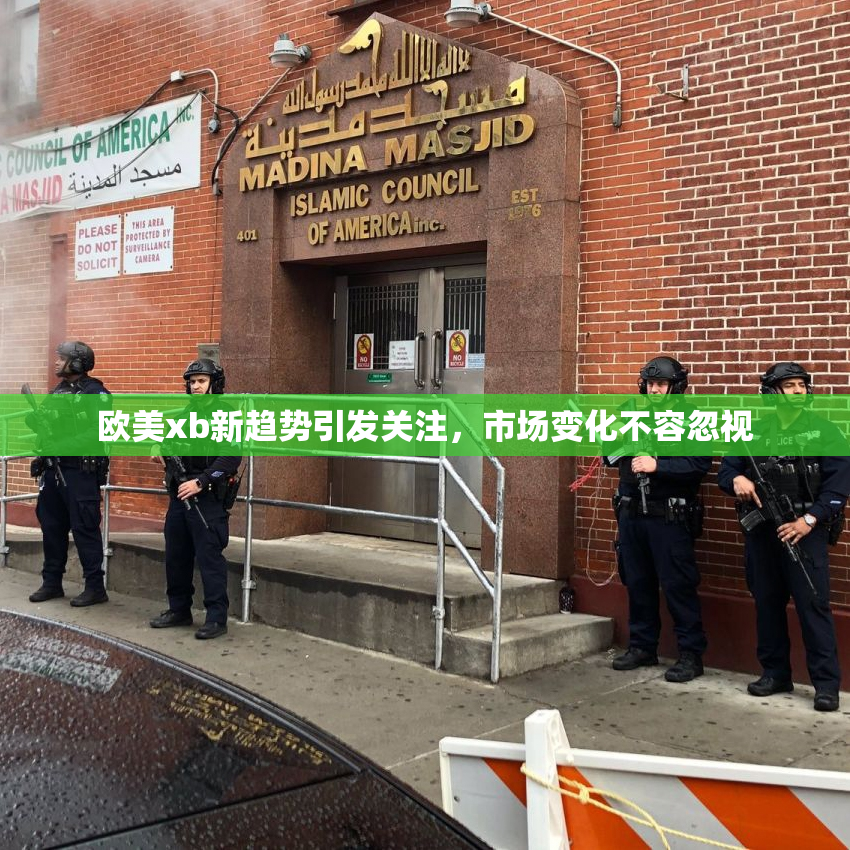 欧美xb新趋势引发关注，市场变化不容忽视