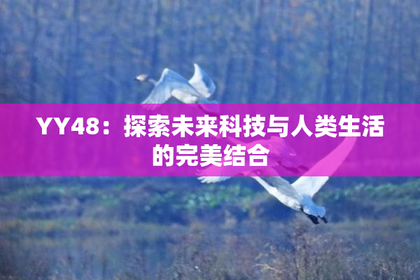 YY48：探索未来科技与人类生活的完美结合