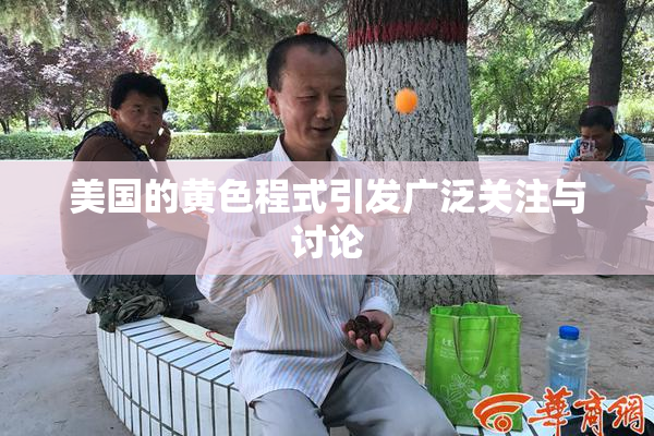 美国的黄色程式引发广泛关注与讨论