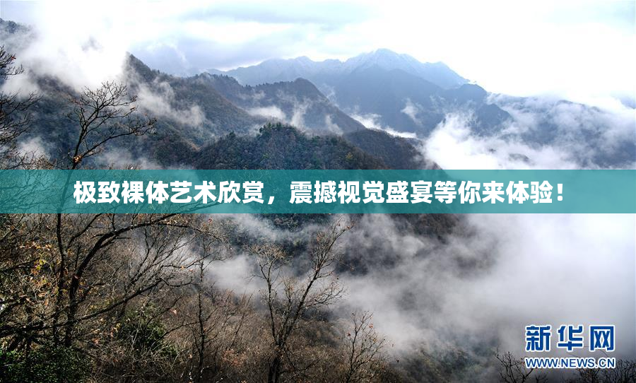 极致裸体艺术欣赏，震撼视觉盛宴等你来体验！