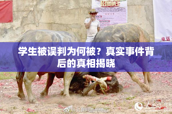 学生被误判为何被？真实事件背后的真相揭晓