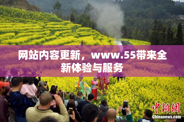 网站内容更新，www.55带来全新体验与服务