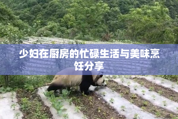 少妇在厨房的忙碌生活与美味烹饪分享