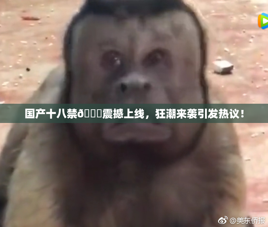 国产十八禁🔞震撼上线，狂潮来袭引发热议！