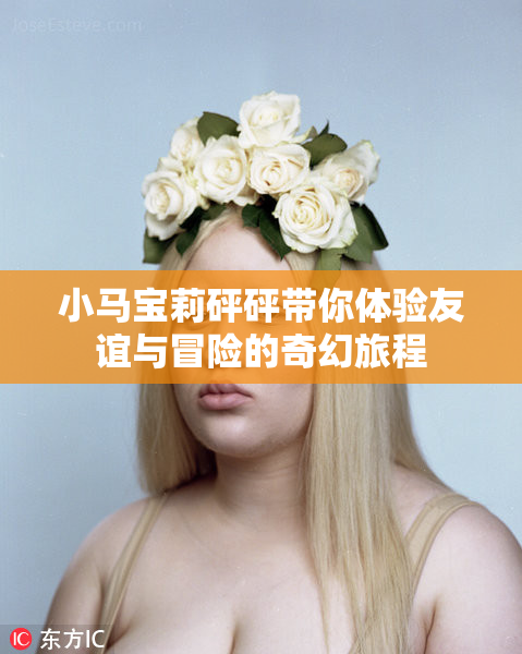 小马宝莉砰砰带你体验友谊与冒险的奇幻旅程