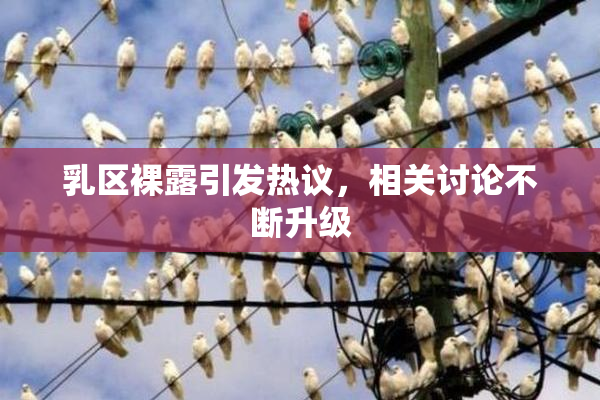 乳区裸露引发热议，相关讨论不断升级