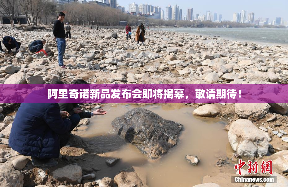 阿里奇诺新品发布会即将揭幕，敬请期待！