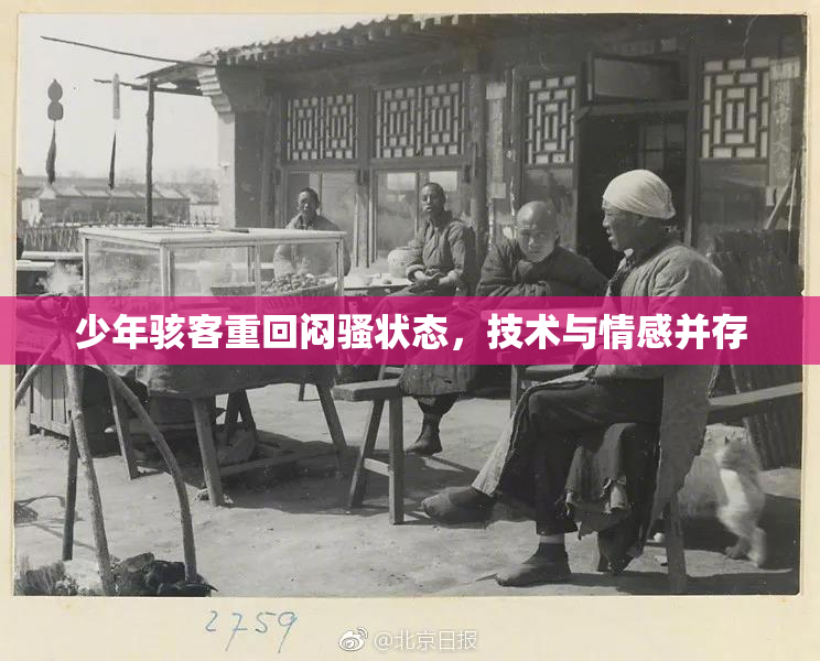 少年骇客重回闷骚状态，技术与情感并存
