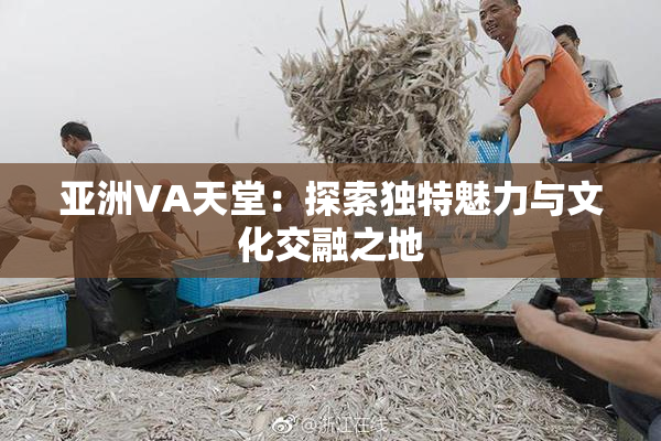 亚洲VA天堂：探索独特魅力与文化交融之地