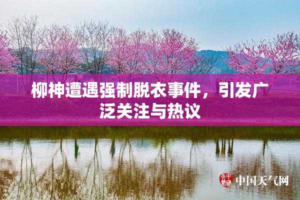 柳神遭遇强制脱衣事件，引发广泛关注与热议