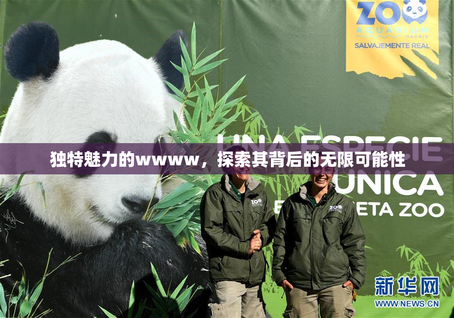 独特魅力的wwww，探索其背后的无限可能性