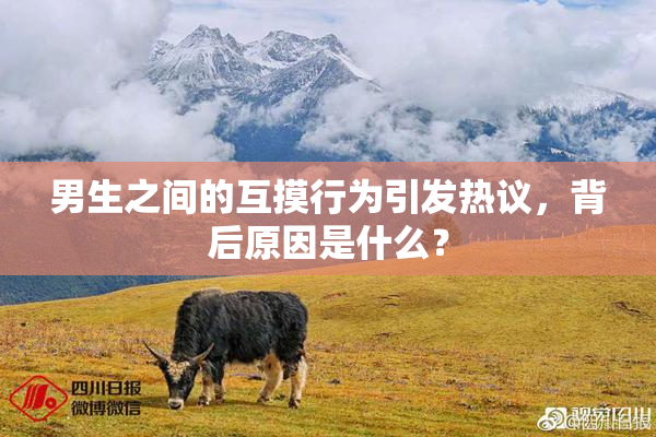 男生之间的互摸行为引发热议，背后原因是什么？