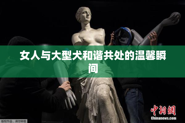 女人与大型犬和谐共处的温馨瞬间