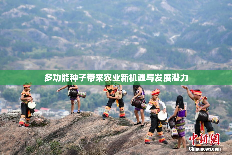 多功能种子带来农业新机遇与发展潜力