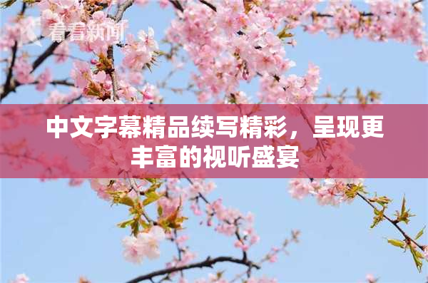 中文字幕精品续写精彩，呈现更丰富的视听盛宴
