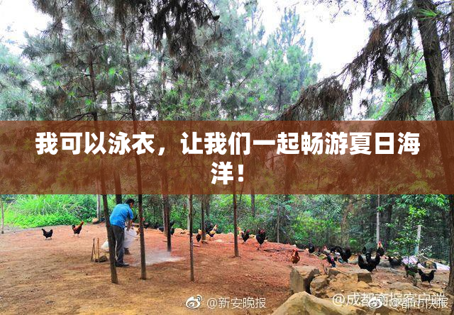我可以泳衣，让我们一起畅游夏日海洋！